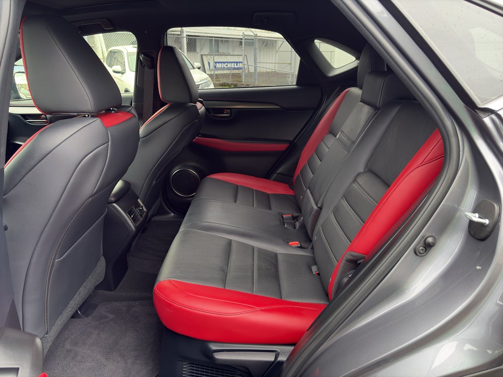 2020 Lexus NX 300 F SPORT