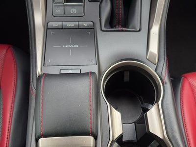 2020 Lexus NX 300 F SPORT