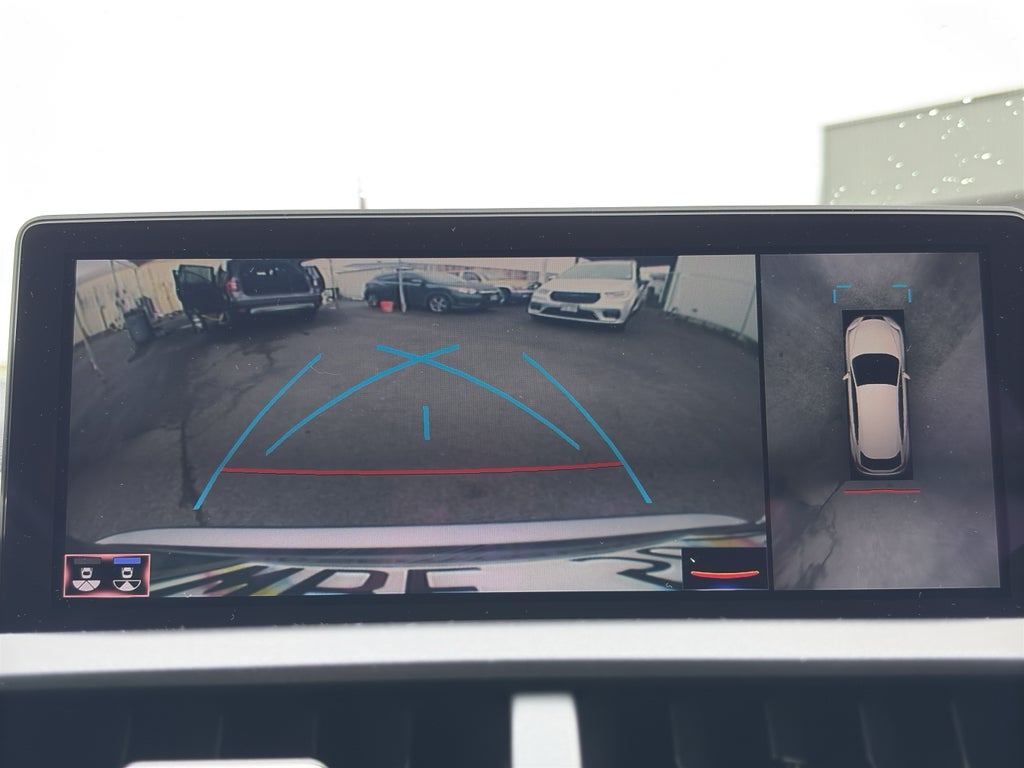 2020 Lexus NX 300 F SPORT