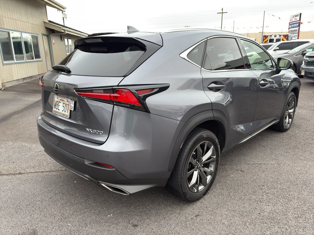 2020 Lexus NX 300 F SPORT
