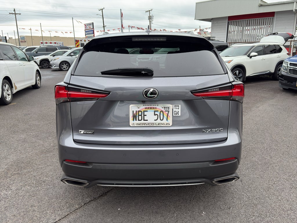 2020 Lexus NX 300 F SPORT