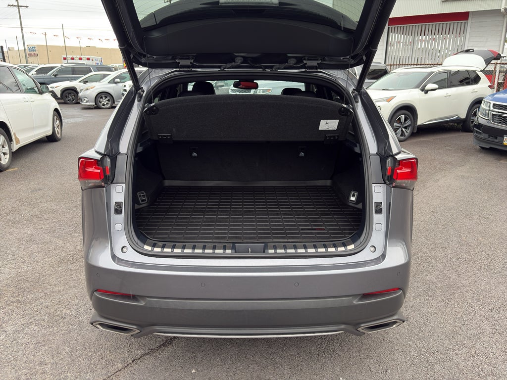 2020 Lexus NX 300 F SPORT